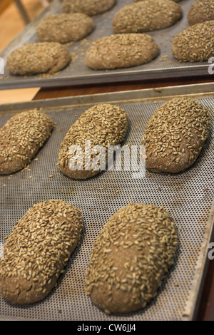 Berlin pane cotto sulla teglia pronto Foto Stock