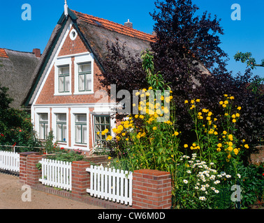 Casa tipica dell'Altes Land vicino ad Amburgo, Germania, Amburgo Foto Stock