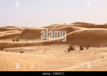 Le dune di sabbia nel Sahara settentrionale nel vento, Tunisia, Ksar Ghilane Foto Stock