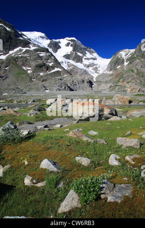 Steinlimi ghiacciaio, Bockberg, Vorder Tierberg, panorama delle Alpi al Sustenpass, Svizzera Oberland Bernese, Steingletscher Foto Stock