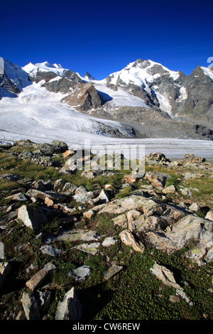 Vista dal Diavolezza sul Piz Palue, Bellavista, il Piz Bernina, Pers ghiacciaio (Vadret pers), Svizzera, dei Grigioni, Engadina, Bernina-Diavolezza Foto Stock