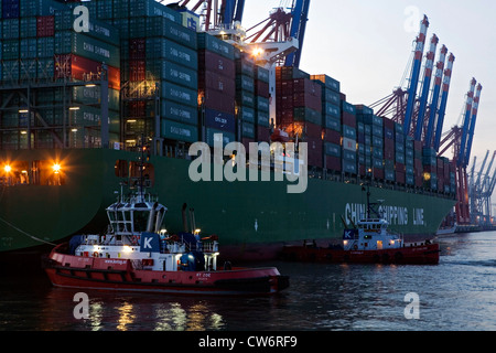 Nave container al terminale Burchardkai, Germania Amburgo Foto Stock