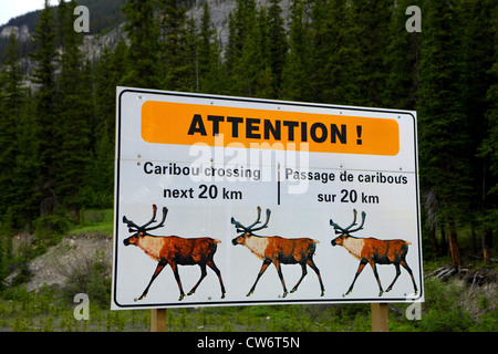 Segno di traffico, attenzione, Caribou Coffee Company attraversando il prossimo 20 km, il passaggio de caribous sur 20 km, Canada Foto Stock