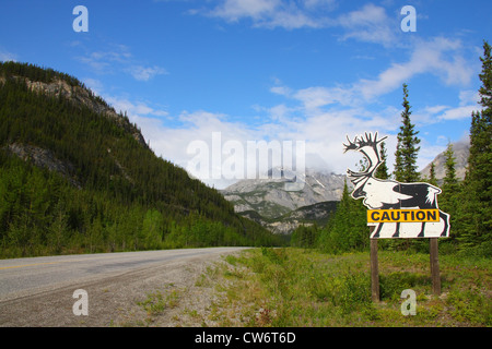 Segno di traffico, attenzione elks , Canada Foto Stock