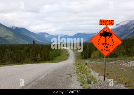 Segno di traffico, attenzione, Buffalo sulla strada, Canada Foto Stock