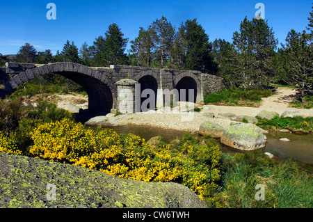 Ponte sul fiume Tarn, Francia, Lozere Foto Stock