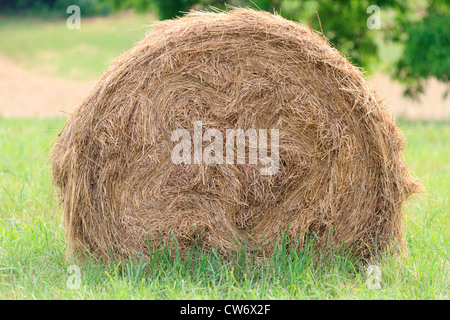 Balla di fieno in un campo francese Foto Stock