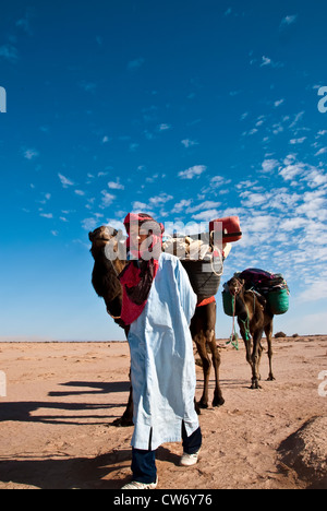 Trekking con il cammello attraverso il deserto del Sahara Foto Stock