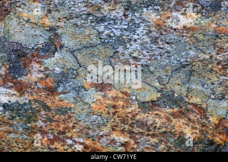 Weathered superficie di roccia, Svizzera Ticino Foto Stock