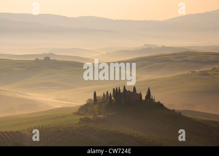 Tipico paesaggio collinare della Toscana con campi di grano, cipressi e casa nella nebbia mattutina, Italia, Toscana Foto Stock