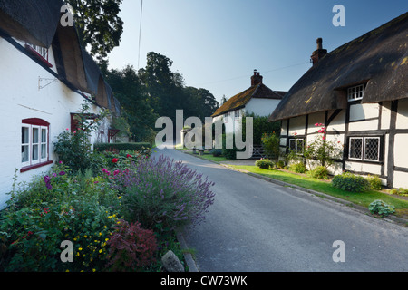 Cottage con il tetto di paglia nel villaggio di Wherwell. Hampshire. In Inghilterra. Regno Unito. Foto Stock