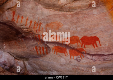 Boscimani san arte rock , Sud Africa, Western Cape, Cederberg Wilderness Area, Zederberge Foto Stock