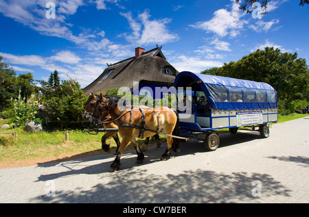 Il carrello nella parte anteriore della casa colonica, Germania, Meclemburgo-Pomerania, Hiddensee Foto Stock