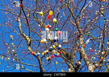 Albero con le uova di pasqua, Germania Foto Stock