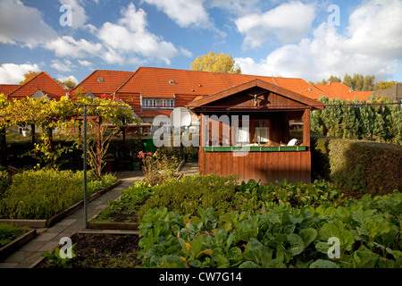 Ex zona residenziale di minatori, in Germania, in Renania settentrionale-Vestfalia, la zona della Ruhr, Gelsenkirchen Foto Stock