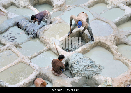 Gli uomini la tintura di cuoio nei trogoli di conciatori e tintori' trimestre chouwara, Marocco, Fes Foto Stock