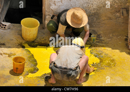 Due lavoratore tinto di essiccazione pelle animale a chouwara conceria, Marocco, Fes Foto Stock