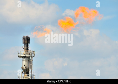 Bruciatore a fiamma viva di gas del Cokery Schwelgern, in Germania, in Renania settentrionale-Vestfalia, la zona della Ruhr, Duisburg Foto Stock