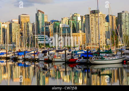 Skyline di Vancouver con Coal Harbour, vista da Stanley Park, Canada Vancouver Foto Stock