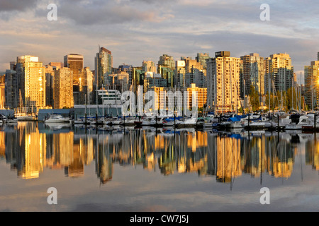 Skyline di Vancouver con Coal Harbour, vista da Stanley Park, Canada Vancouver Foto Stock