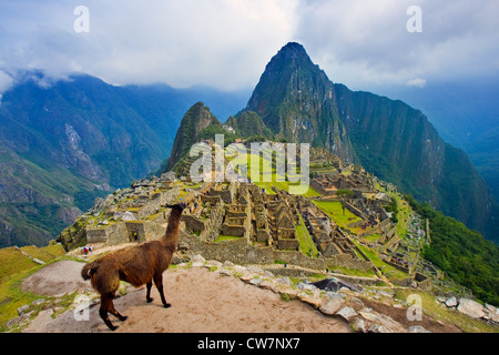 Machu Picchu è un xv secolo sito Inca situato a 2.430 metri sopra il livello del mare su un crinale di montagna sopra la Valle di Urubamba Foto Stock