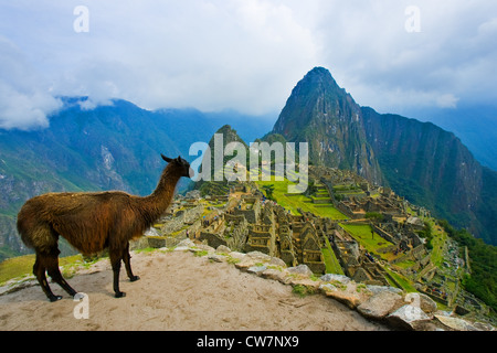 Machu Picchu è un xv secolo sito Inca situato a 2.430 metri sopra il livello del mare su un crinale di montagna sopra la Valle di Urubamba Foto Stock