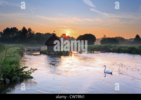 Alba sul fiume vicino a prova Longstock in Hampshire Foto Stock