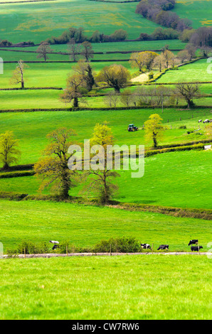 Vista attraverso campi aperti vicino Pucklechurch in South Gloucestershire in Inghilterra. Foto Stock