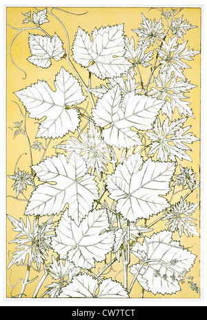 Foglie e FLOWEES DALLA NATURA Foto Stock