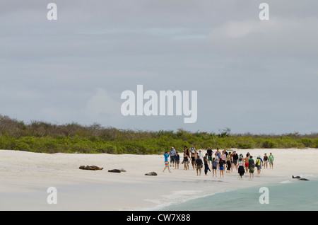 Ecuador, Galapagos, all'Isola Espanola (aka Cappa isola), Baia Gardner. Affollata spiaggia Galapagos. Turisti in giro i leoni di mare. Foto Stock