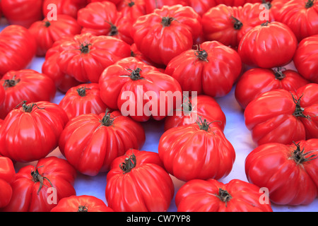 I pomodori dalla Provenza in vendita in Cours Saleya mercato, Città Vecchia, Nice, Francia. Foto Stock