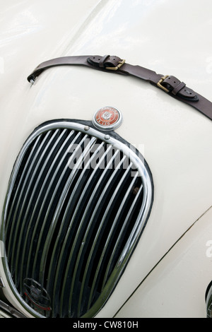 Jaguar XK150 la griglia del radiatore ed ornamento Foto Stock