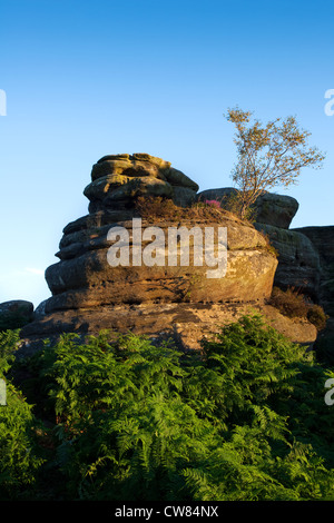 Brimham rocce naturali di bilanciamento formazioni rocciose nel North Yorkshire Dales, i bambini attivi e i turisti in visita presso il National Trust sito con holidayin Foto Stock