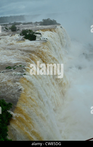 Iguasu cade in Brasile. Uno dei più grandi cascate del mondo con molte diverse cascate creando una spettacolare scena. Foto Stock