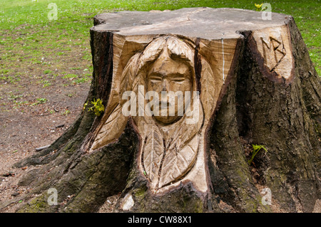 La scultura in legno di Mark Butler a Vernon Park di NOTTINGHAM, NOTTINGHAMSHIRE REGNO UNITO Inghilterra Foto Stock