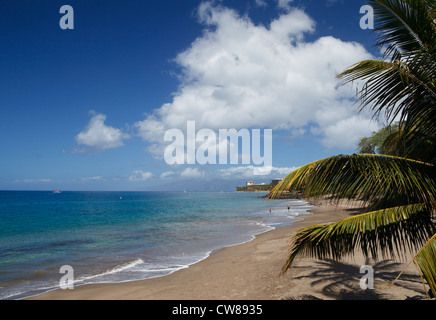 Vista in edicola Wahikuli Park di Lahaina, Maui Foto Stock