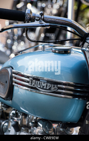 1956 Triumph Tiger 110 650 cc OHV Twin motocicletta. Classic british motociclo Foto Stock