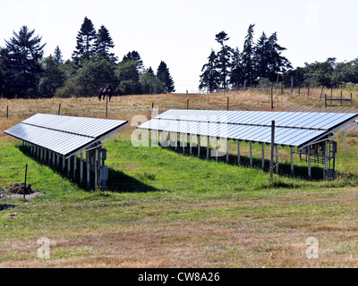 Rack di pannelli solari fotovoltaici montati su pali in un campo fornire potenza per la farm di grandi dimensioni sulla Whidbey Island Washington Foto Stock