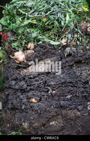 Contenuto di un raccoglitore di compostaggio. Mostra gli strati di rottura di vegetali e di uso domestico rifiuti di giardino. Foto Stock