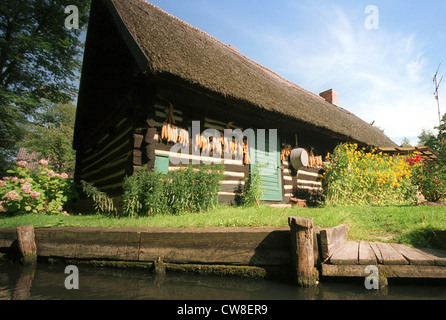 Luebbenau, casa e sulla pannocchia di mais in Spreewald Foto Stock