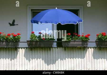 Dortmund fiori balcone con ombrellone Foto Stock