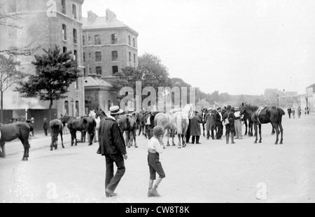 Parigi, 3 agosto 1914, requisitioning cavalli Foto Stock