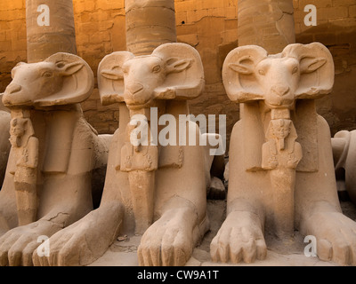 Il Viale degli arieti presso l'antico complesso tempio di Karnak nei pressi di Luxor nella valle del Nilo in Egitto Foto Stock