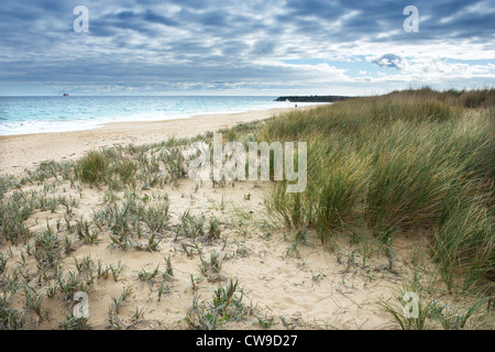 Warnbro Sound Beach in Australia Occidentale Foto Stock