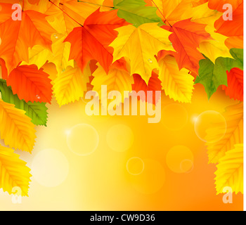 Sfondo di autunno Foto Stock