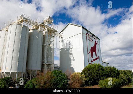 Fremantle Australia occidentale - i Dingo segno di farina sul lato del grande rullo meridionale mulini a Fremantle, Australia occidentale Foto Stock