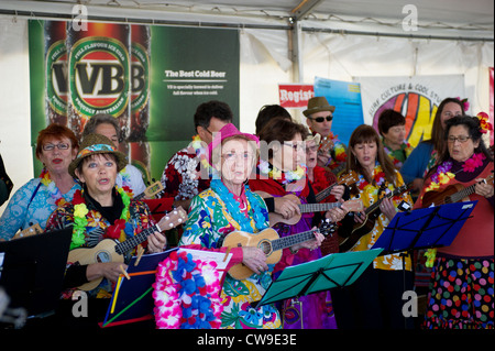 Fremantle Australia Occidentale - Un ukulele band eseguendo in Fremantle, Western Australia. Foto Stock