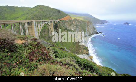 Vista del ponte di arco concreto su gorge con le montagne su un lato e scogliere giù per oceano su altri Foto Stock