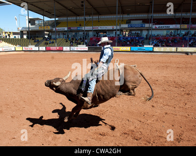 Bull riding contestant in perfetta postura presso il monte Isa Rodeo in Outback Queensland, Australia Foto Stock