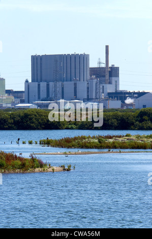 Dungeness centrale nucleare e la riserva naturale Foto Stock